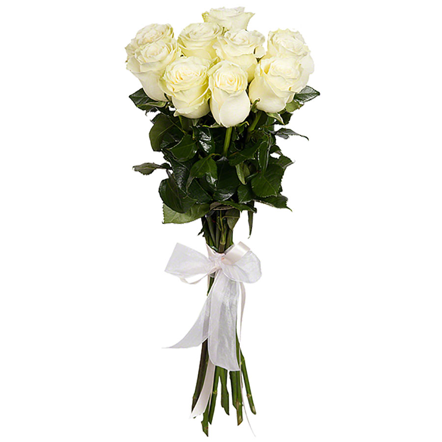 Купить букет из 9 роз по доступным ценам с доставкой по Москве и Московской области